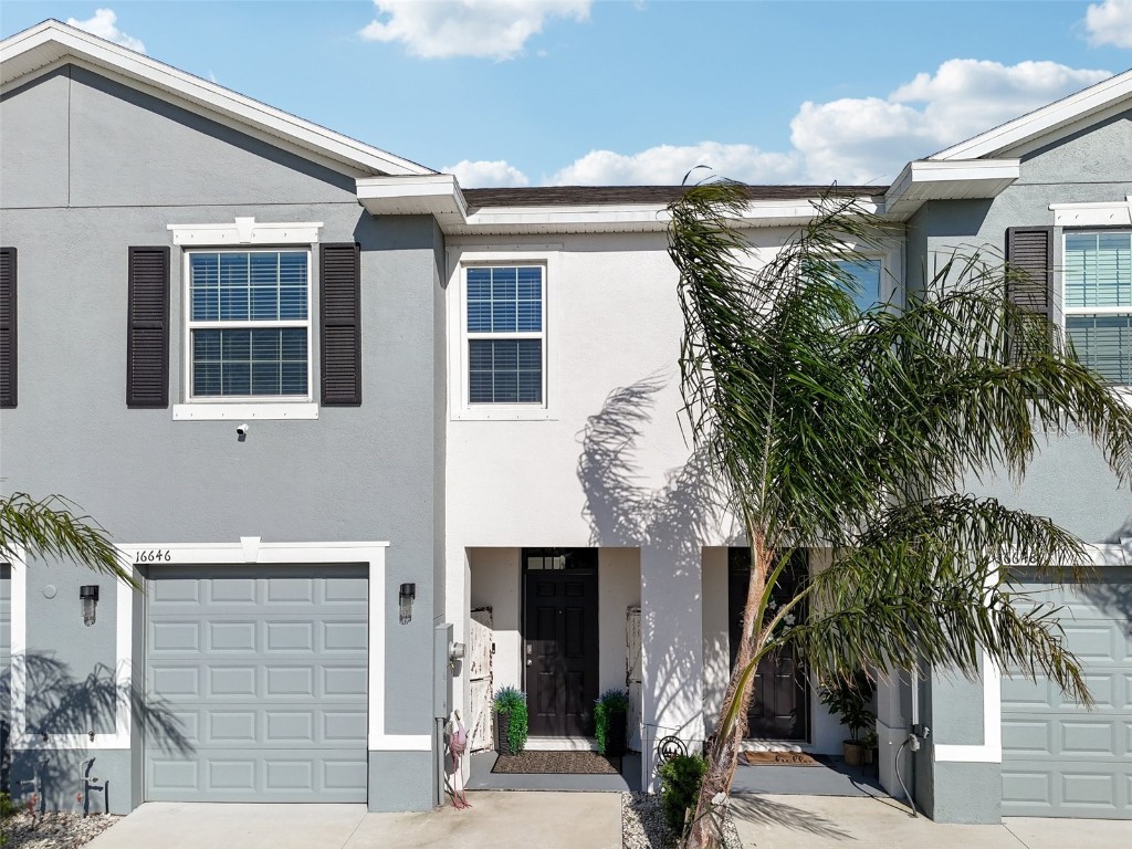 16646 Maude Drive Wimauma FL 33598 TB8362884 image1