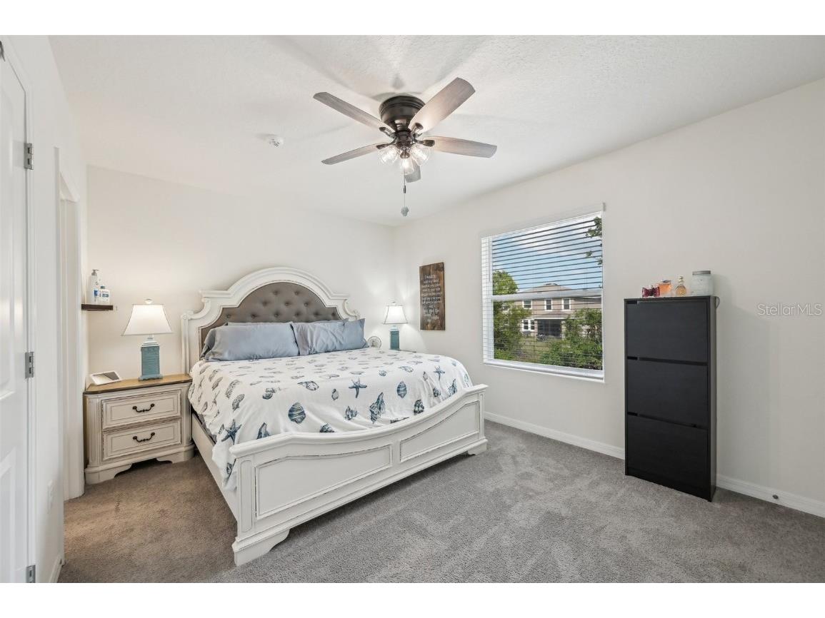 16646 Maude Drive Wimauma FL 33598 TB8362884 image19