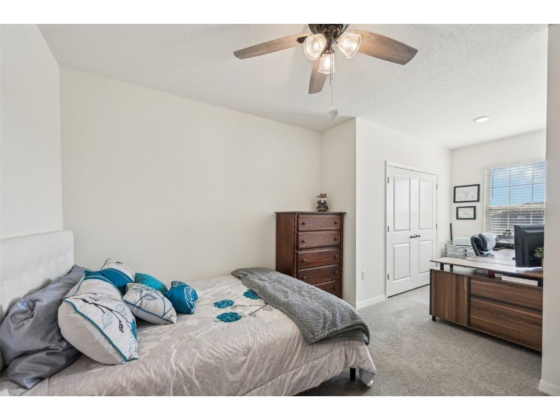 16646 Maude Drive Wimauma FL 33598 TB8362884 image27