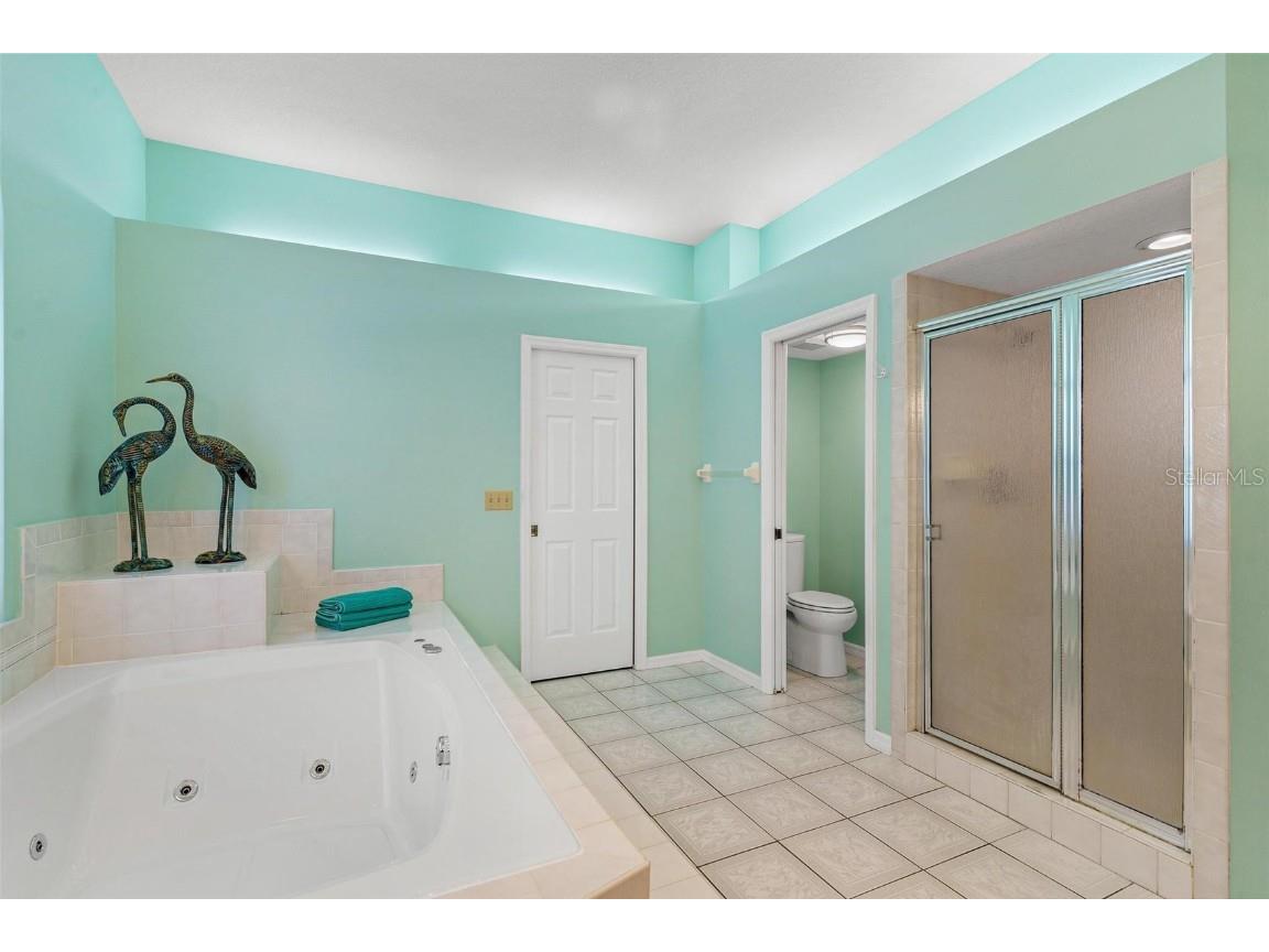 16647 E Shirley Shores Road Tavares FL 32778 - LAKE DORA G5100742 image26