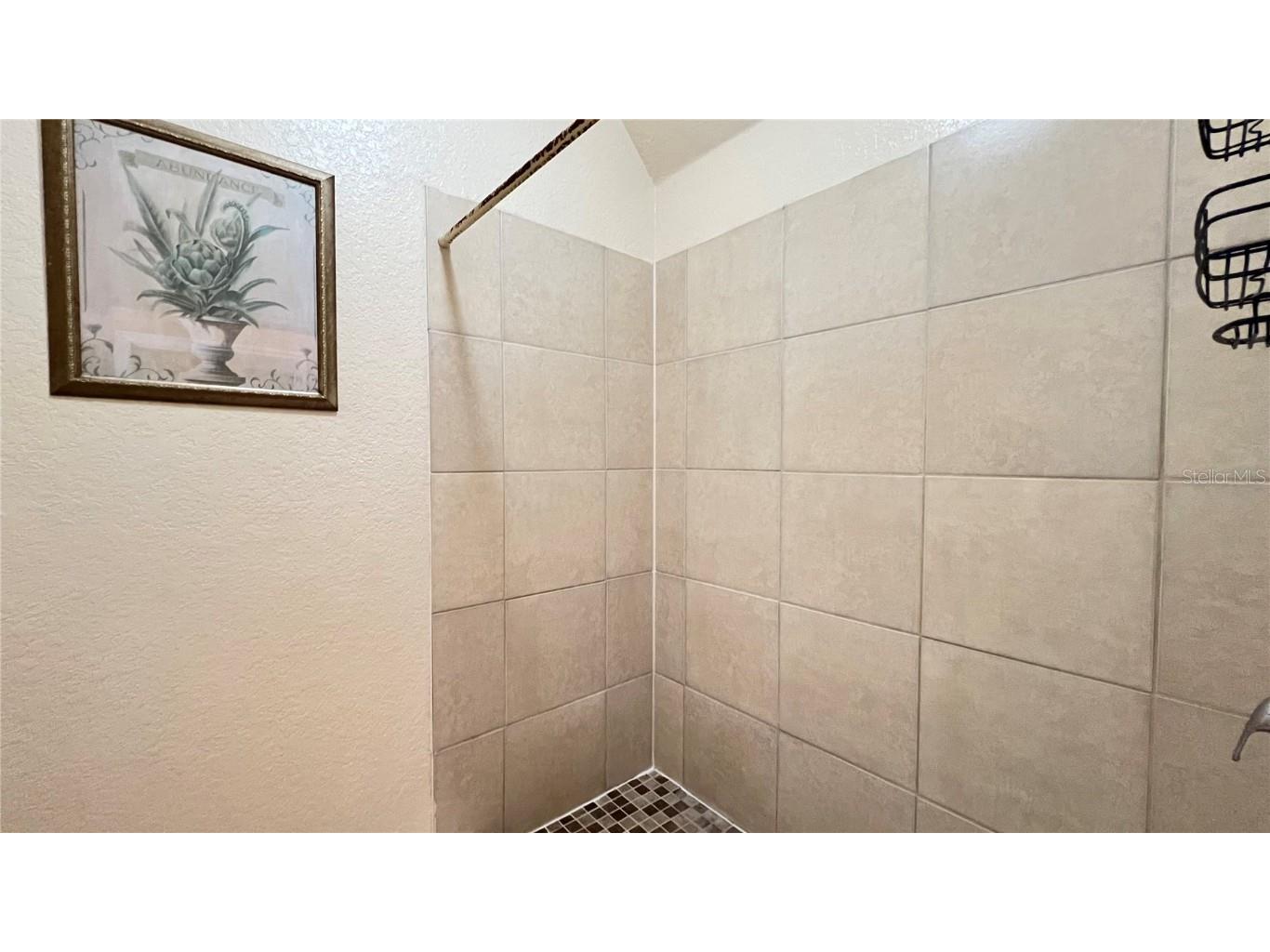 16648 Caribbean Breeze Way Clermont FL 34714 S5133244 image21