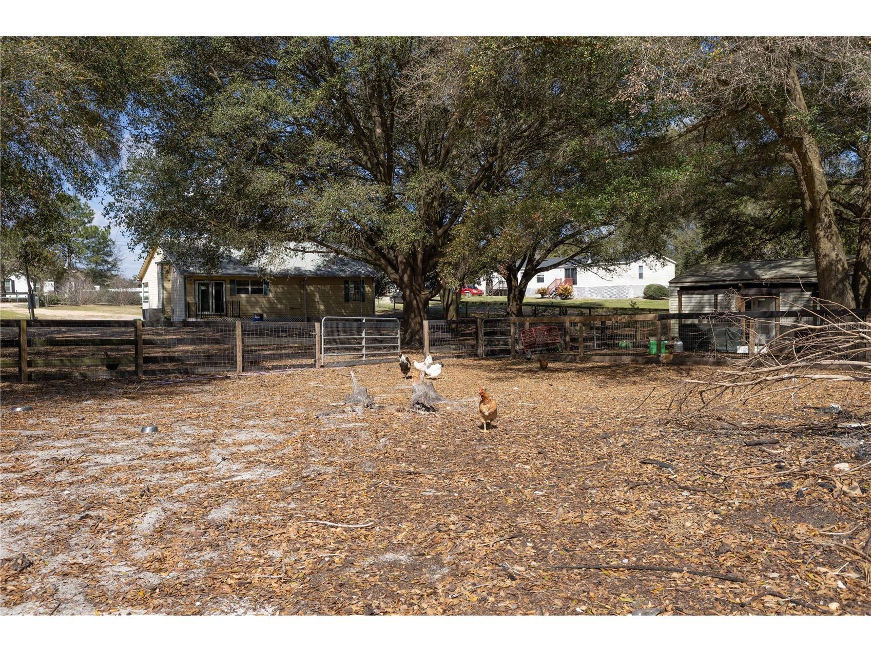 16649 SE 23rd Avenue Summerfield FL 34491 G5109229 image28