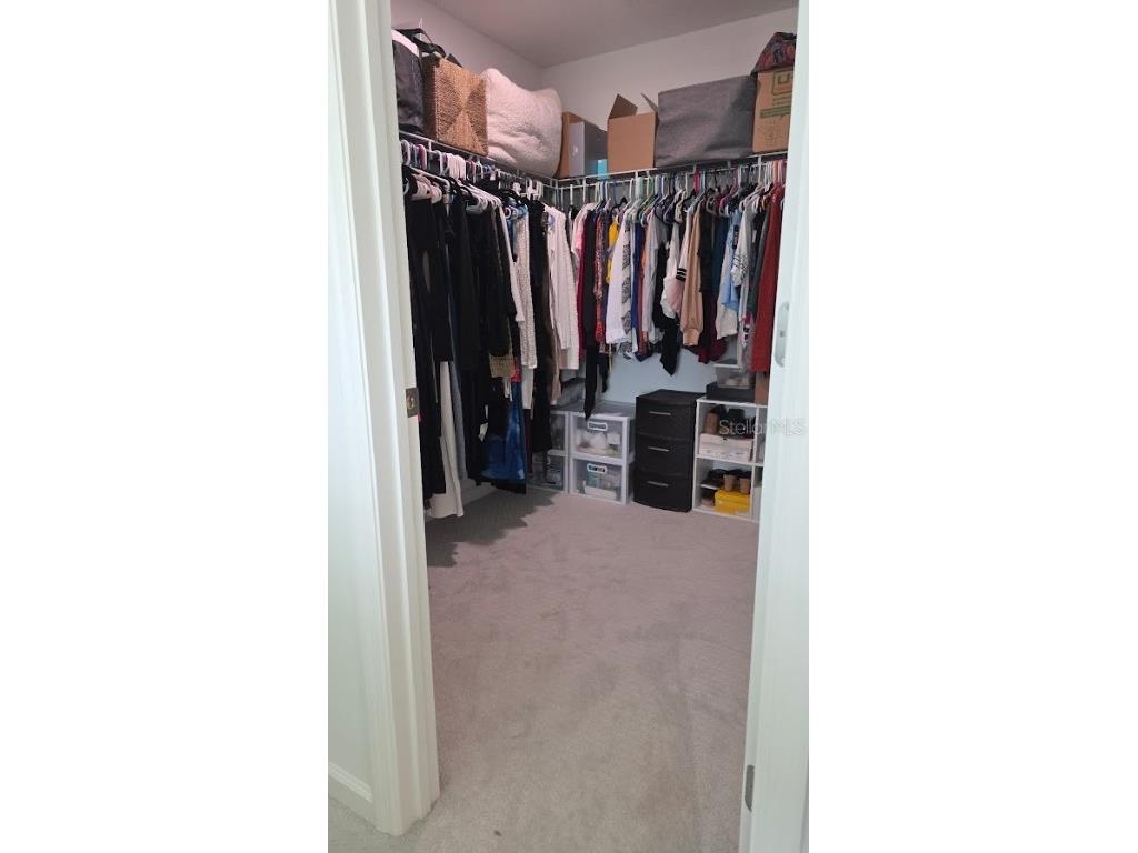 1665 Pinecliff Drive Apopka FL 32703 TB8442874 image19