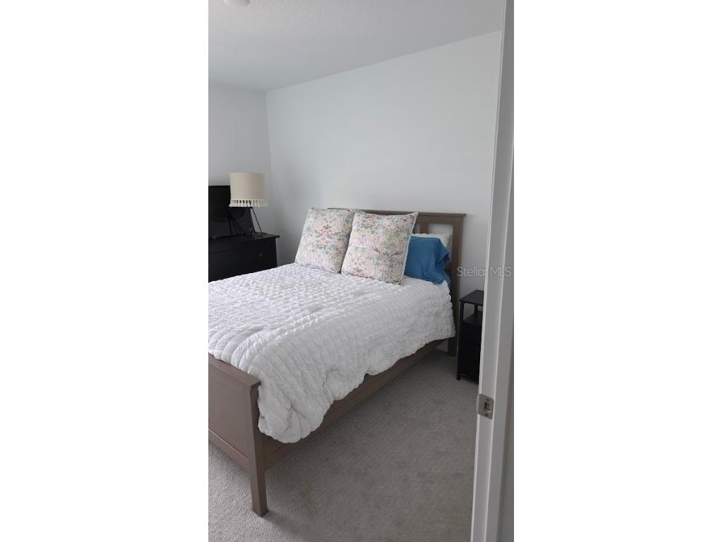 1665 Pinecliff Drive Apopka FL 32703 TB8442874 image24