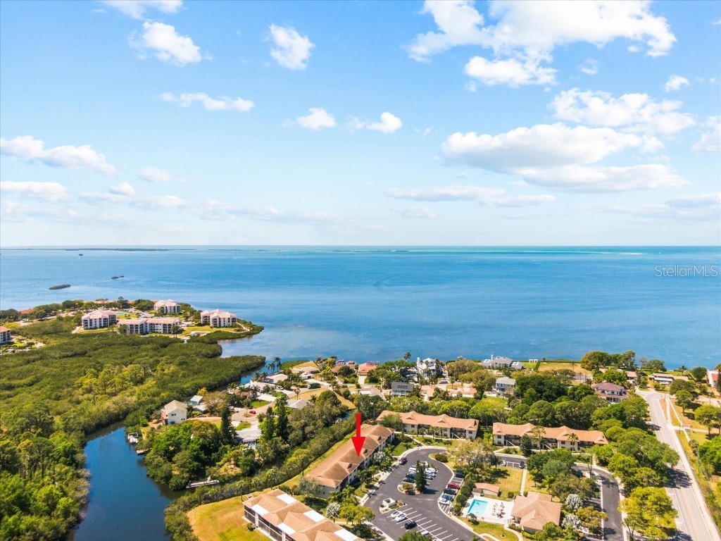 1665 Seascape Circle #1665 Tarpon Springs FL 34689 U8194919 image1