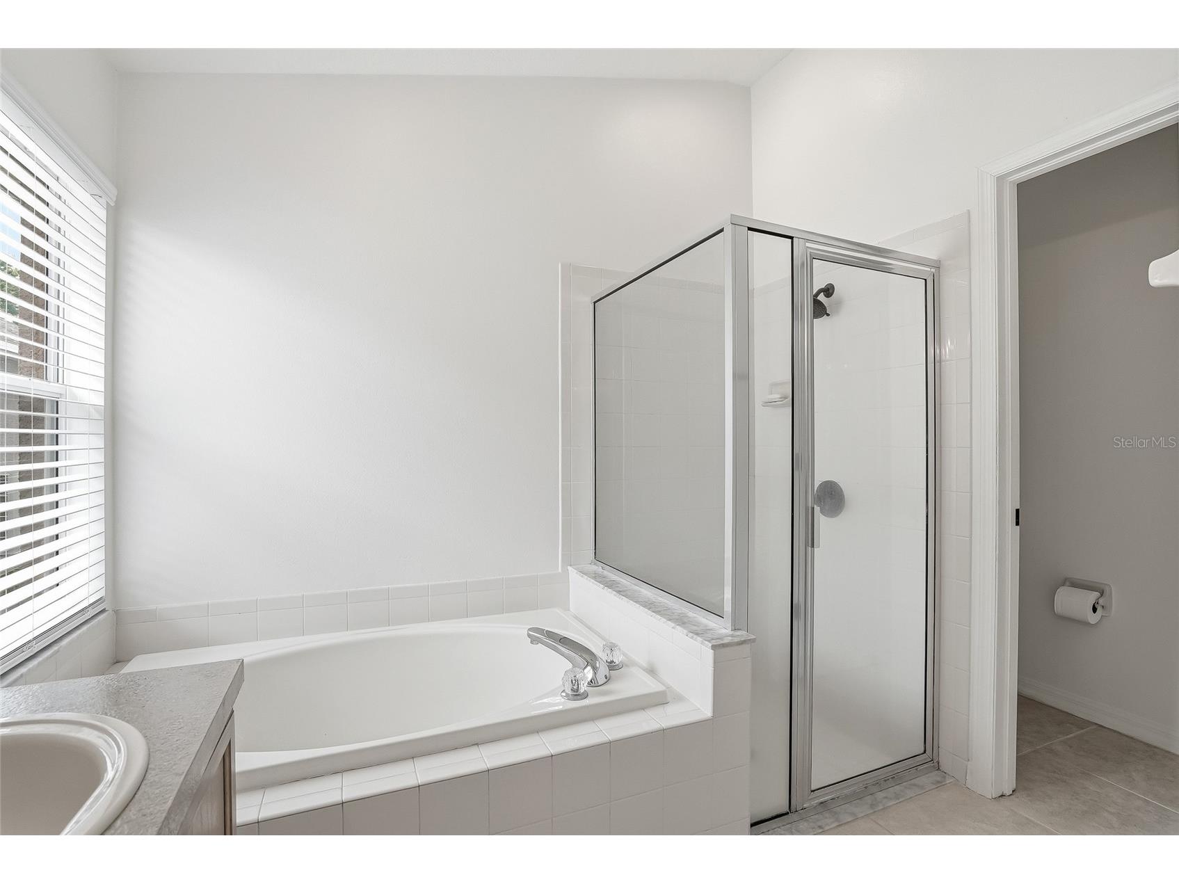 16650 Fairbolt Way Odessa FL 33556 TB8514688 image29