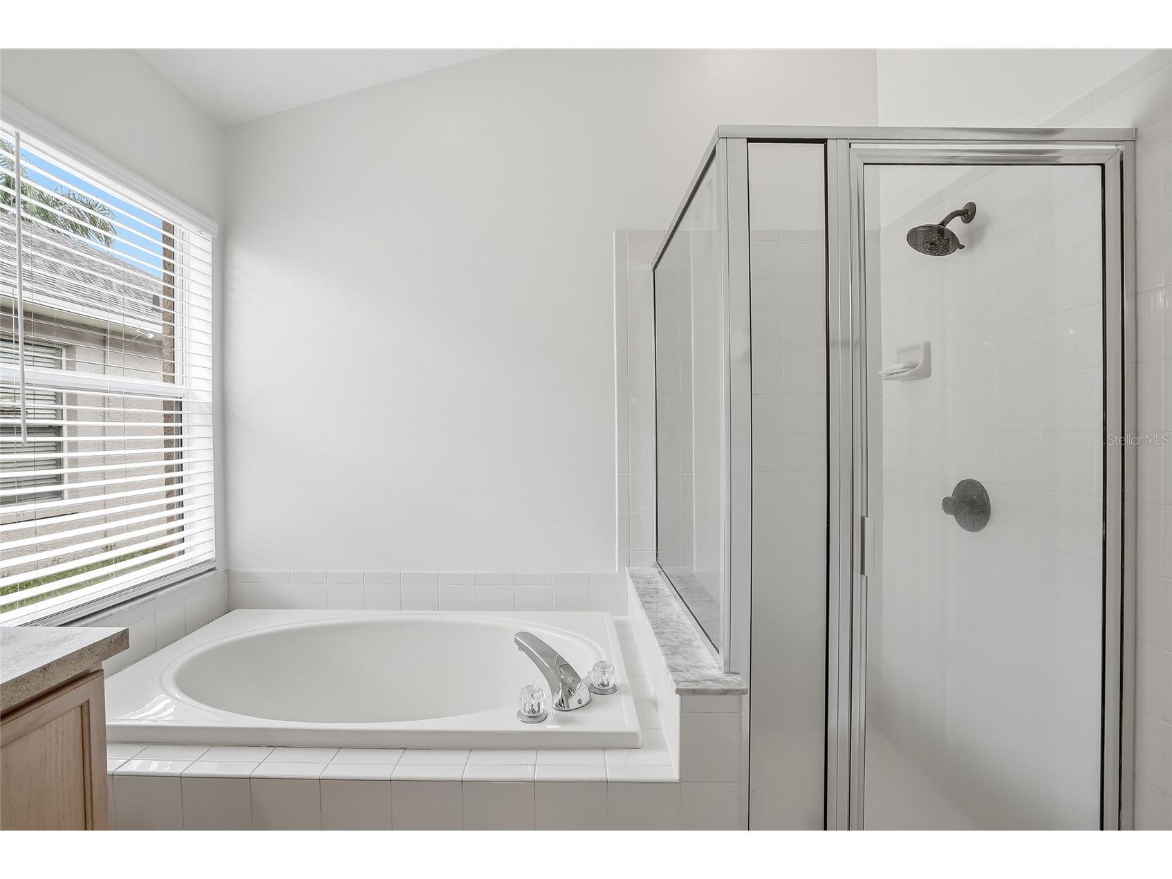 16650 Fairbolt Way Odessa FL 33556 TB8514688 image30