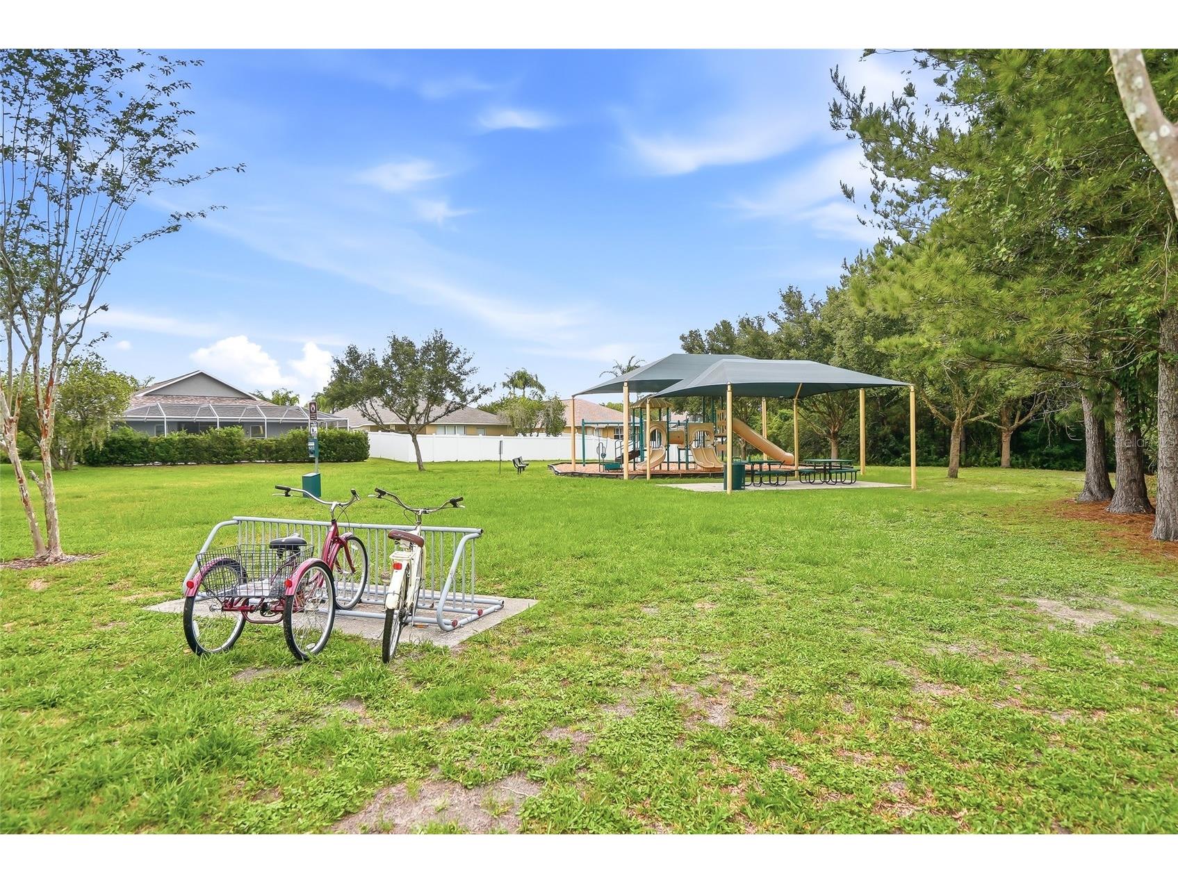 16650 Fairbolt Way Odessa FL 33556 TB8514688 image47