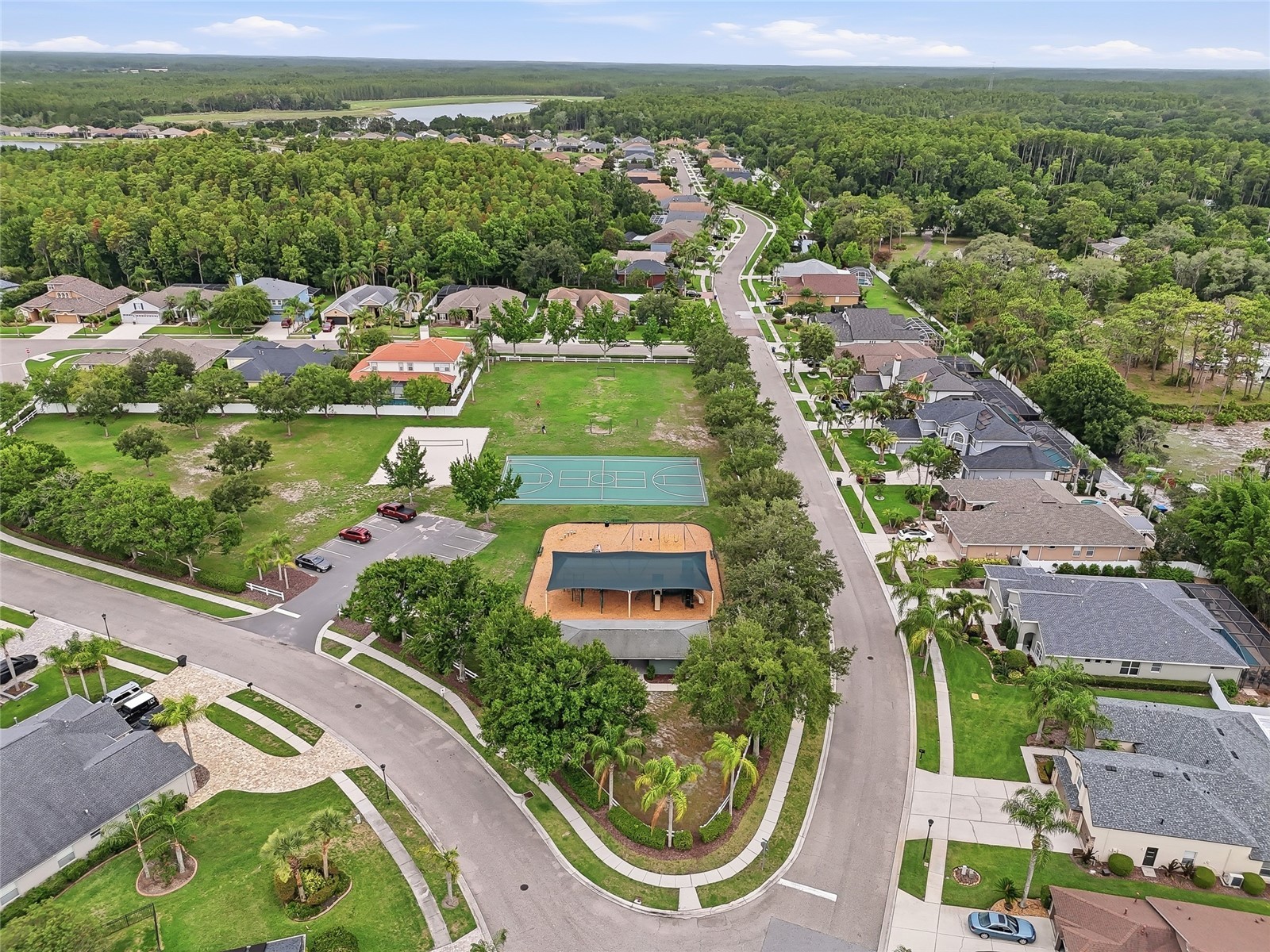 16650 Fairbolt Way Odessa FL 33556 TB8514688 image51