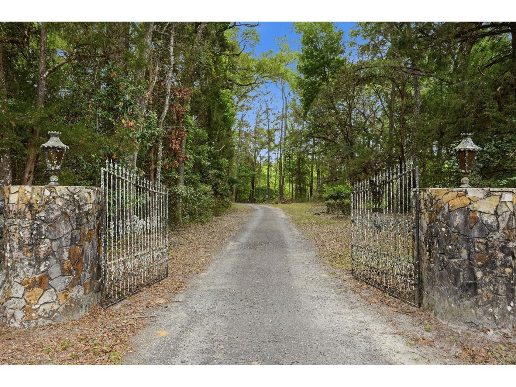 16650 NE 53rd Lane Williston FL 32696 W7884747 image6