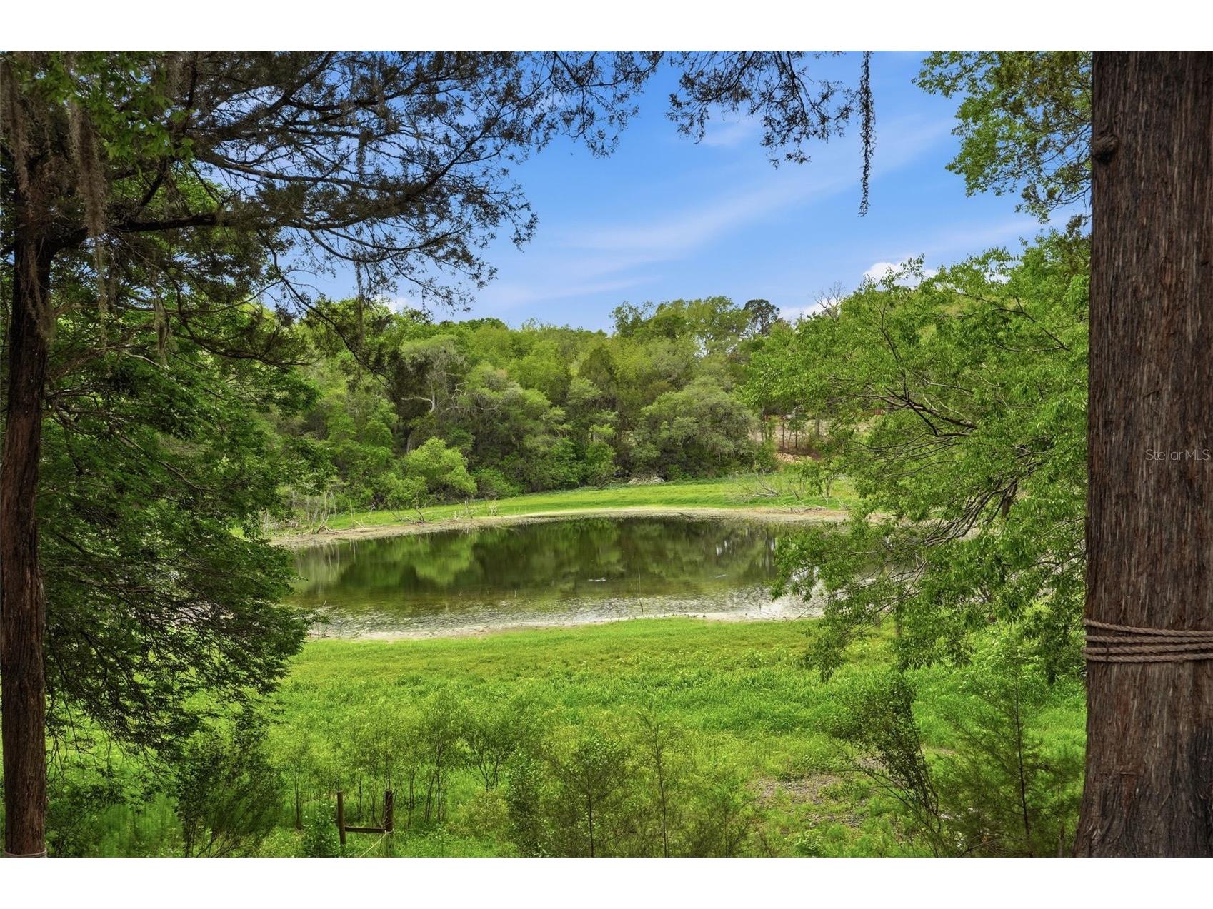 16650 NE 53rd Lane Williston FL 32696 W7884747 image80