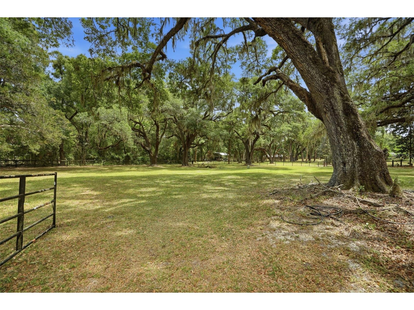 16650 NE 53rd Lane Williston FL 32696 W7884747 image90