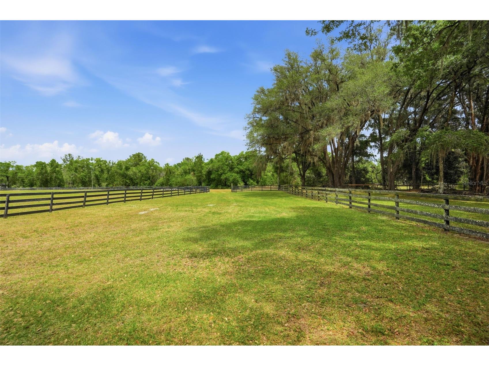 16650 NE 53rd Lane Williston FL 32696 W7884747 image93