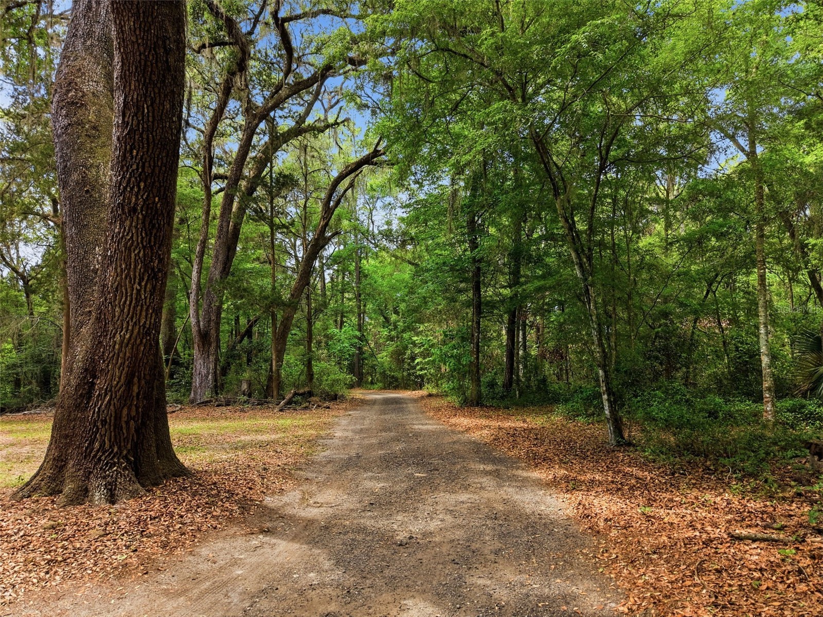 16650 NE 53rd Lane Williston FL 32696 W7884747 image95