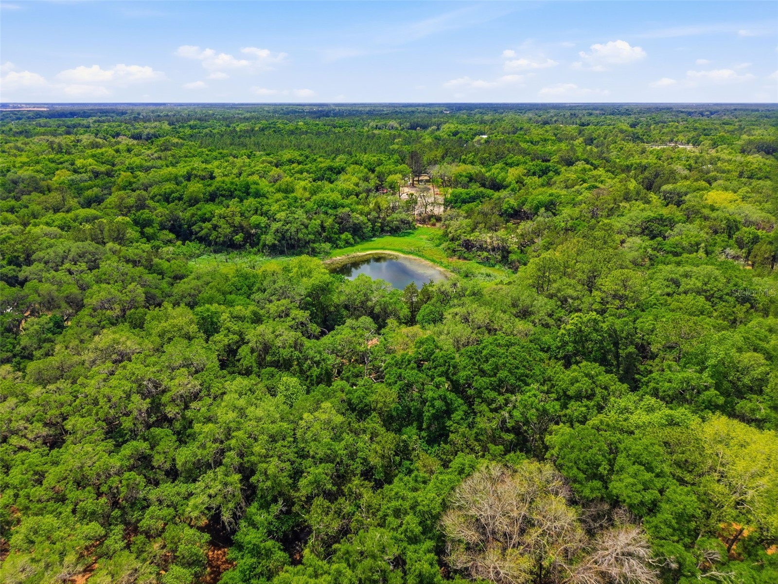 16650 NE 53rd Lane Williston FL 32696 W7884747 image96
