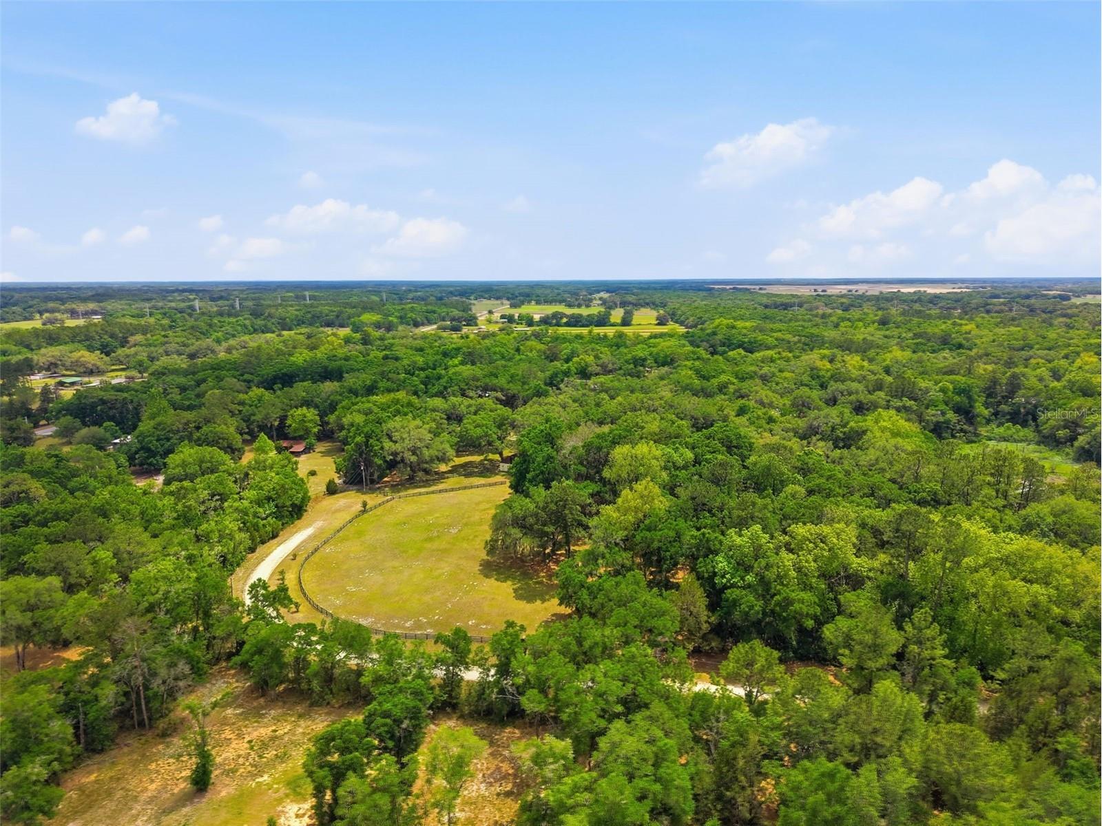 16650 NE 53rd Lane Williston FL 32696 W7884747 image97
