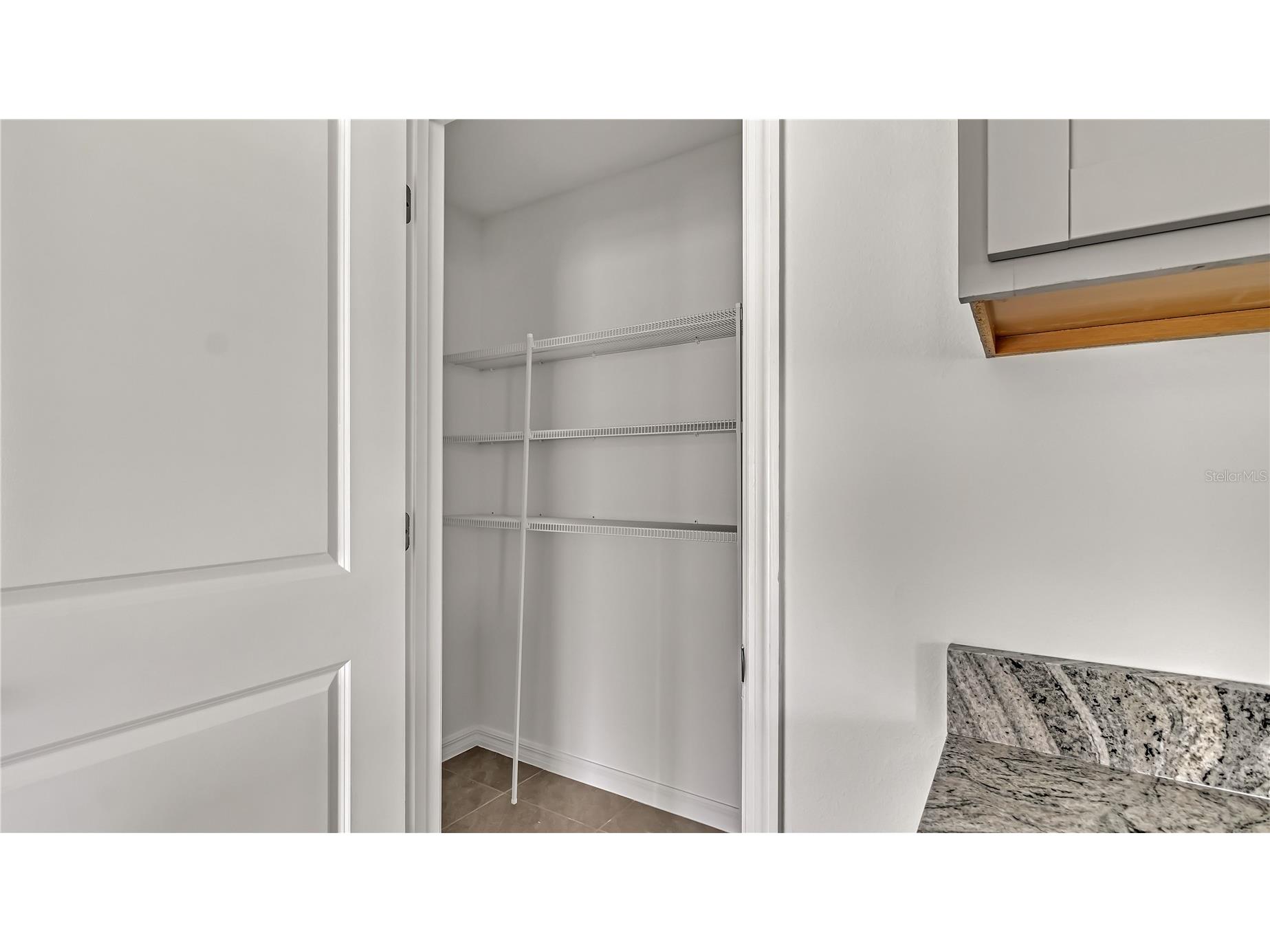 16651 Mosaic Oar Drive Wimauma FL 33598 TB8484989 image15