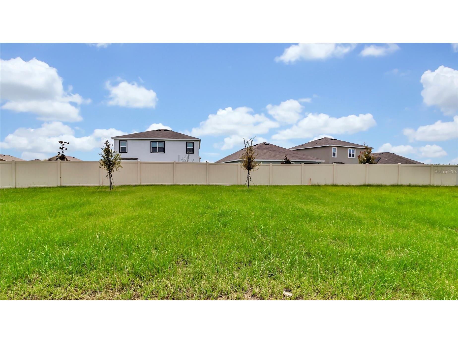 16651 Mosaic Oar Drive Wimauma FL 33598 TB8484989 image19