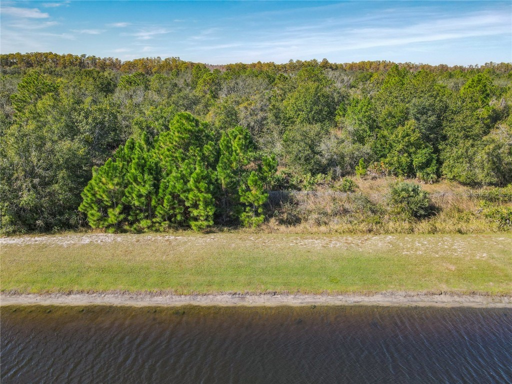 16658 Lazy Breeze Loop Clermont FL 34714 O6360322 image42