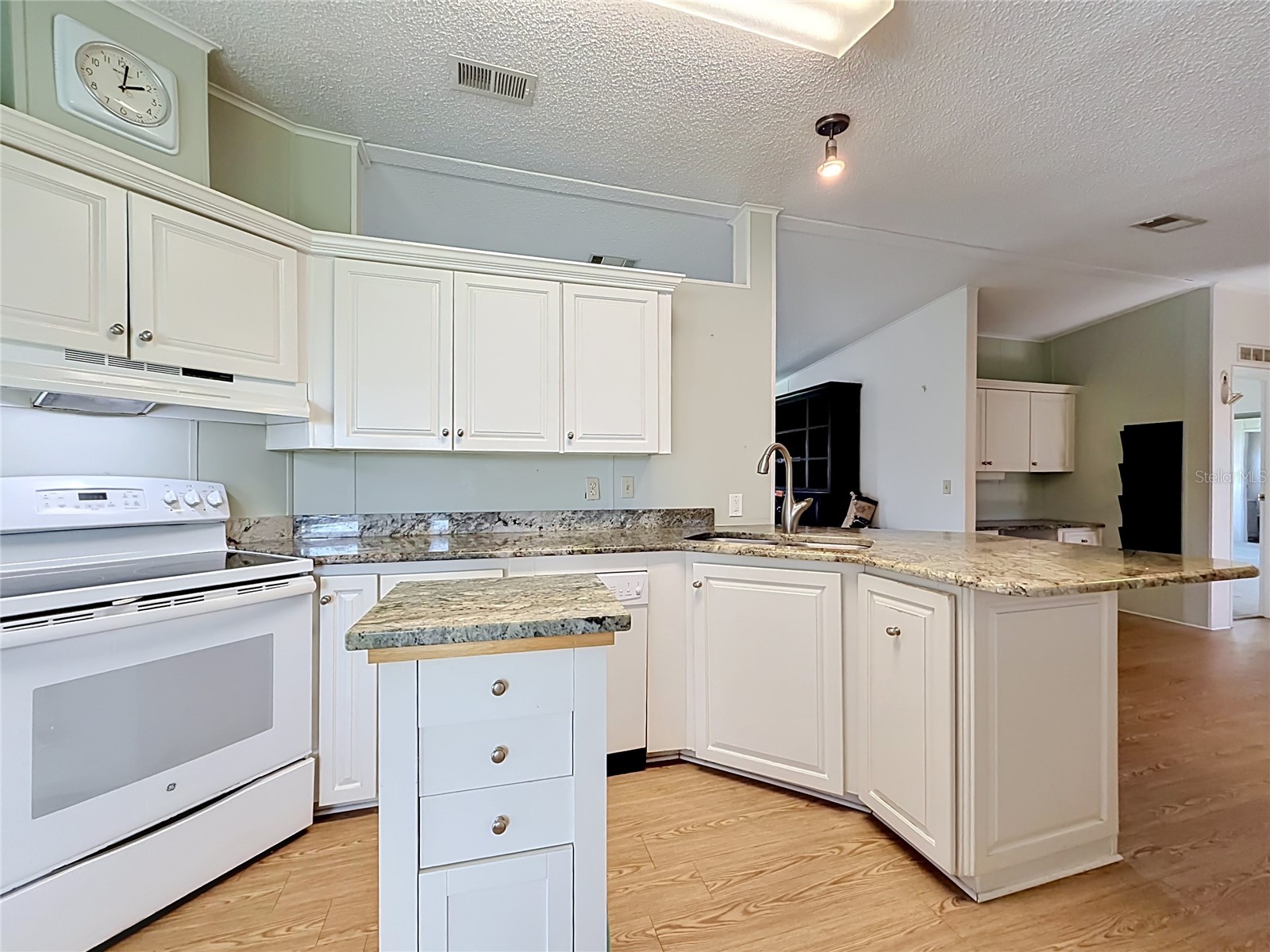 1666 Elkhart Circle Tavares FL 32778 G5112475 image5