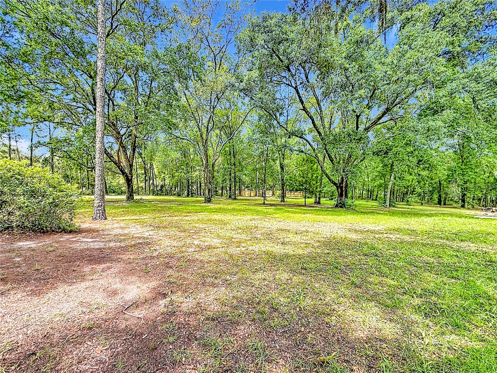 1666 N Croft Avenue Inverness FL 34453 TB8513863 image42