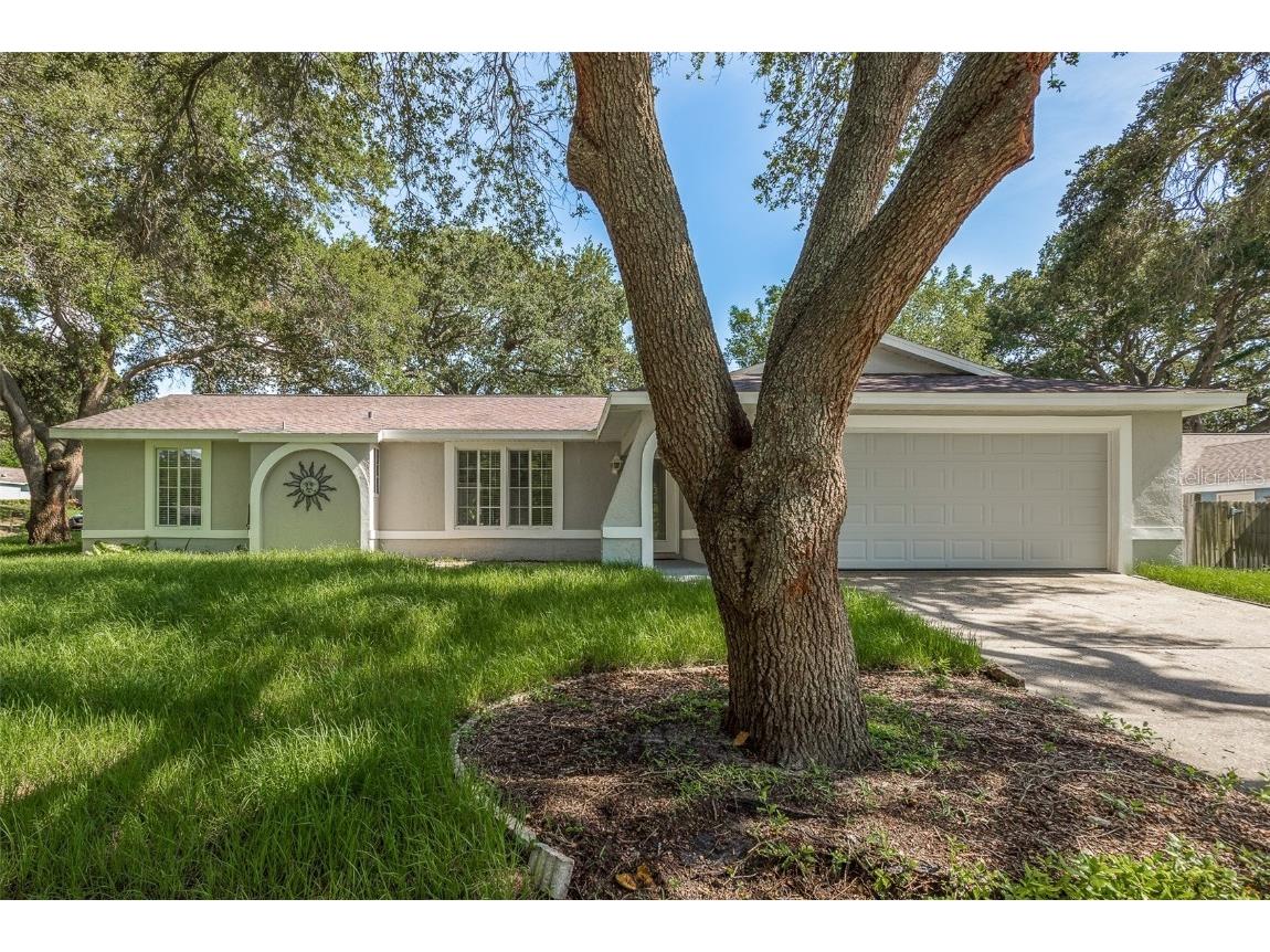 1666 Spottswood Circle Palm Harbor FL 34683 U8205964 image1