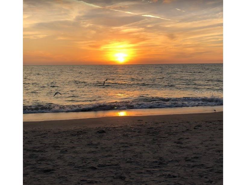 16660 Liggett Circle Port Charlotte FL 33981 - SANTA CRUZ D6144460 image80