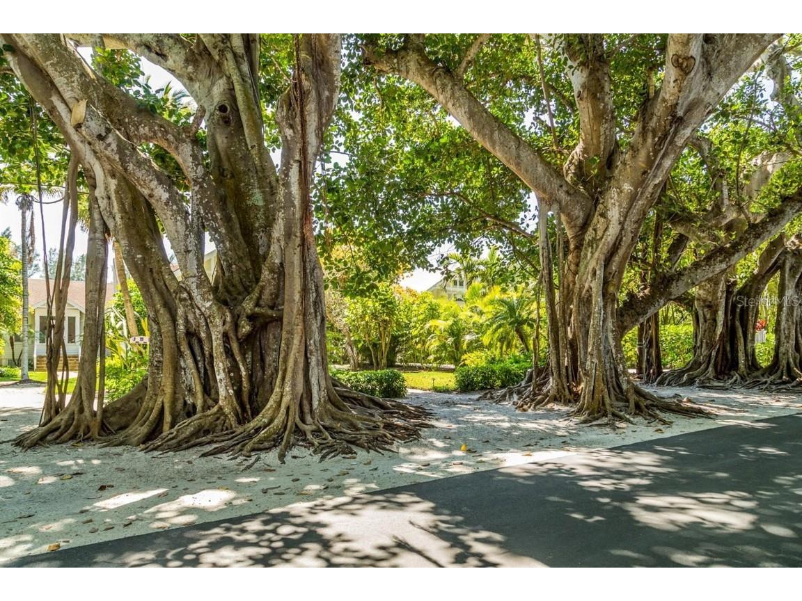 16660 Liggett Circle Port Charlotte FL 33981 - SANTA CRUZ D6144460 image84