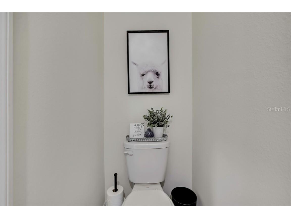 16662 Maude Drive Wimauma FL 33598 TB8428875 image23