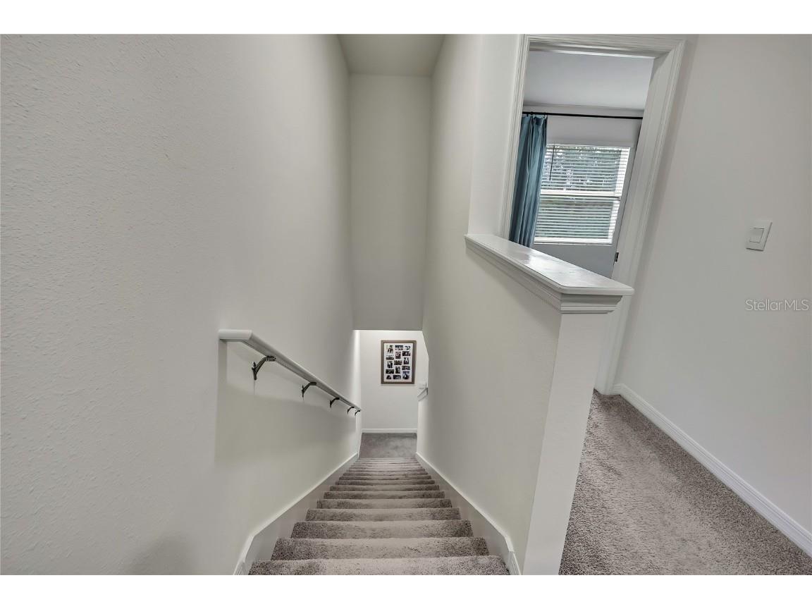 16662 Maude Drive Wimauma FL 33598 TB8428875 image25