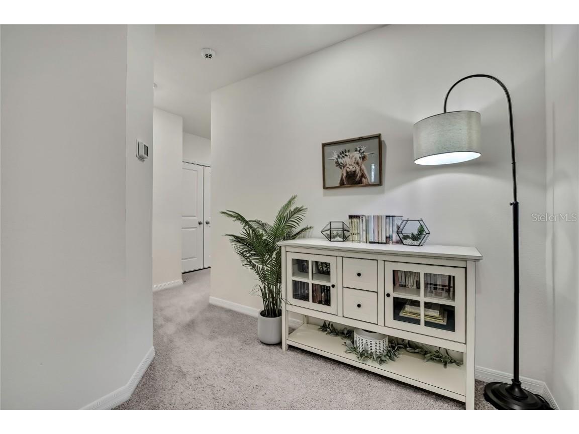 16662 Maude Drive Wimauma FL 33598 TB8428875 image27