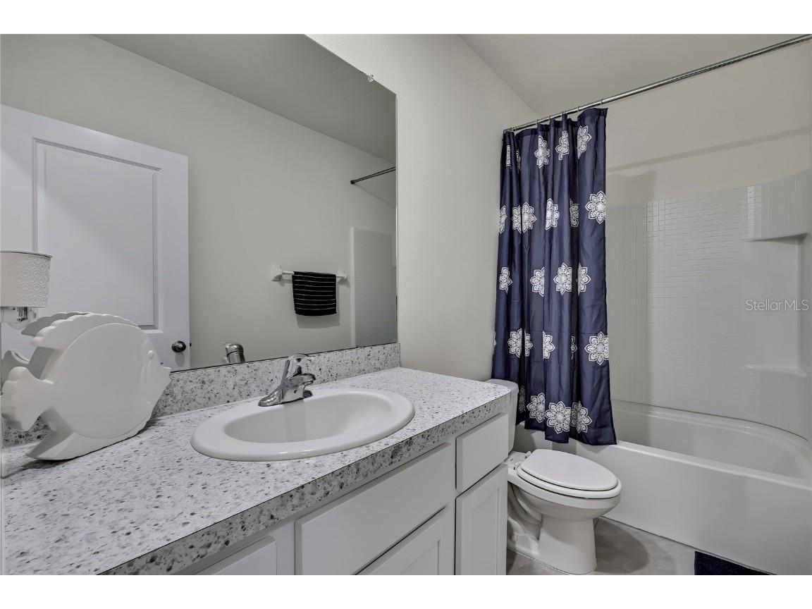 16662 Maude Drive Wimauma FL 33598 TB8428875 image35