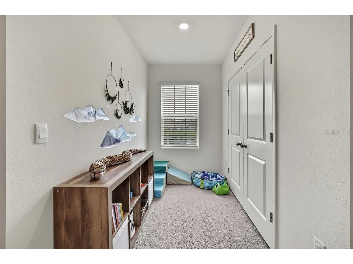 16662 Maude Drive Wimauma FL 33598 TB8428875 image38