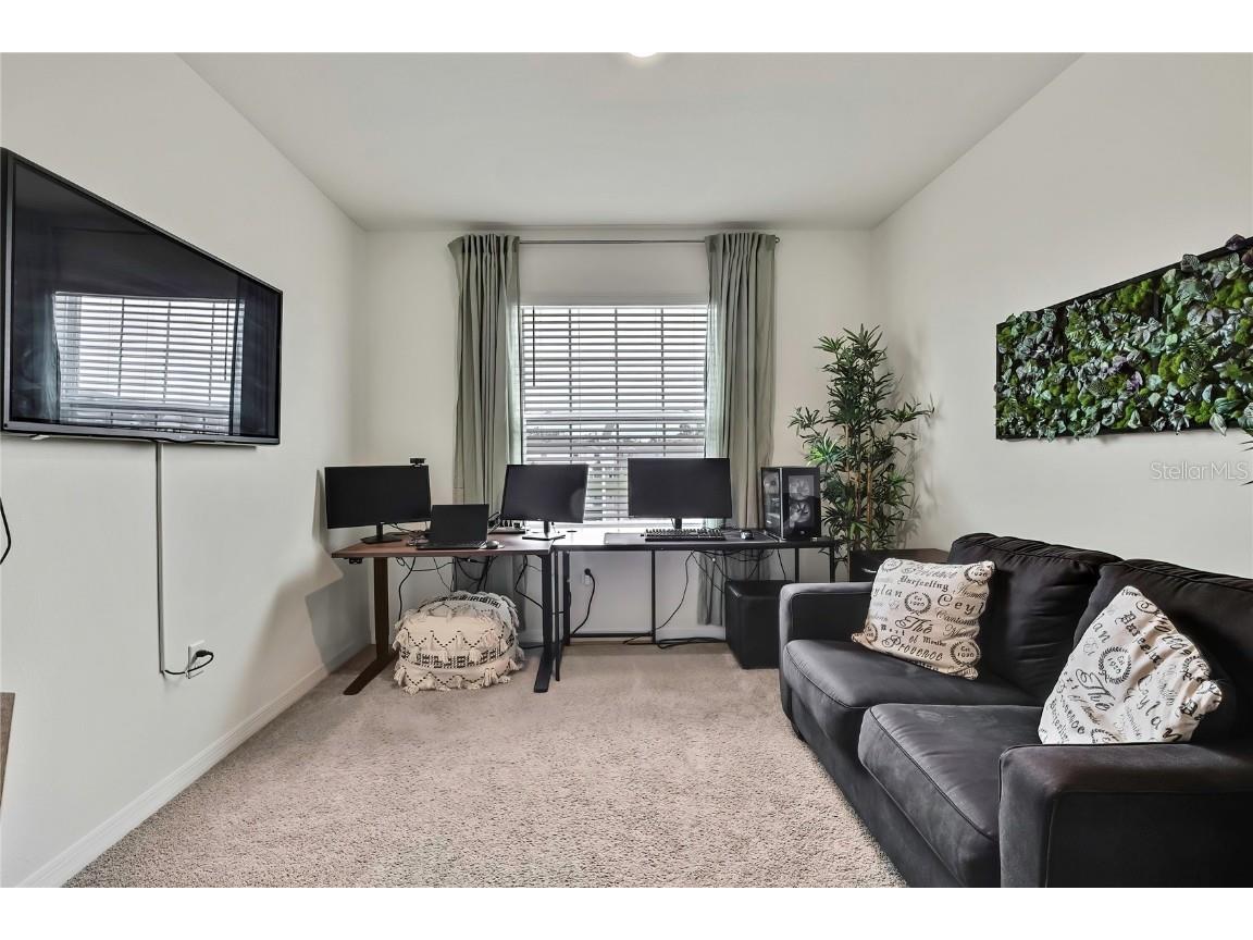 16662 Maude Drive Wimauma FL 33598 TB8428875 image41