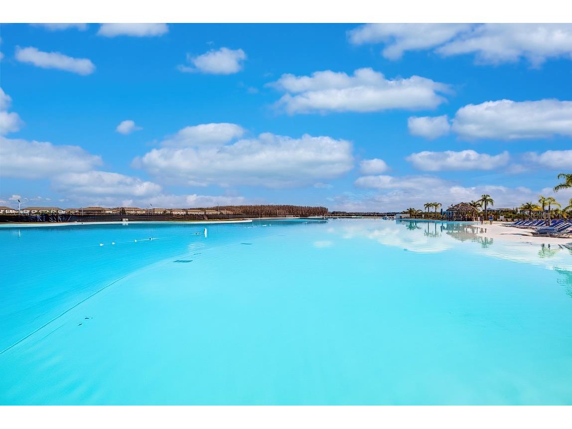 16662 Maude Drive Wimauma FL 33598 TB8428875 image63