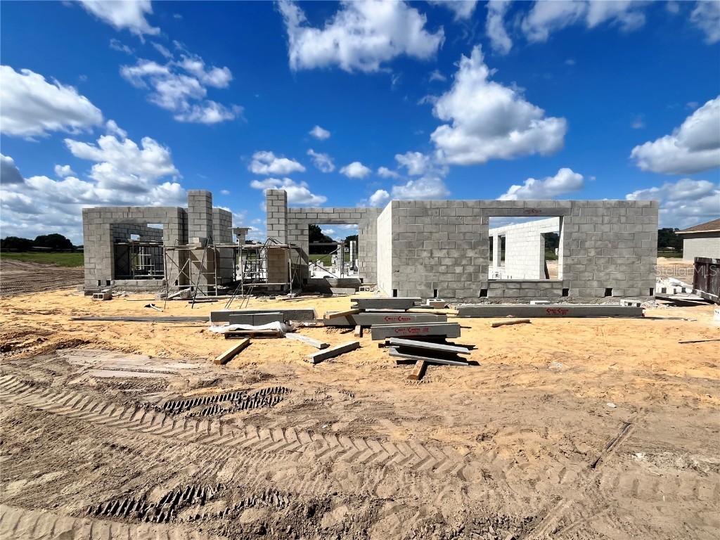 16662 SE 23rd Avenue Summerfield FL 34491 OM711501 image20