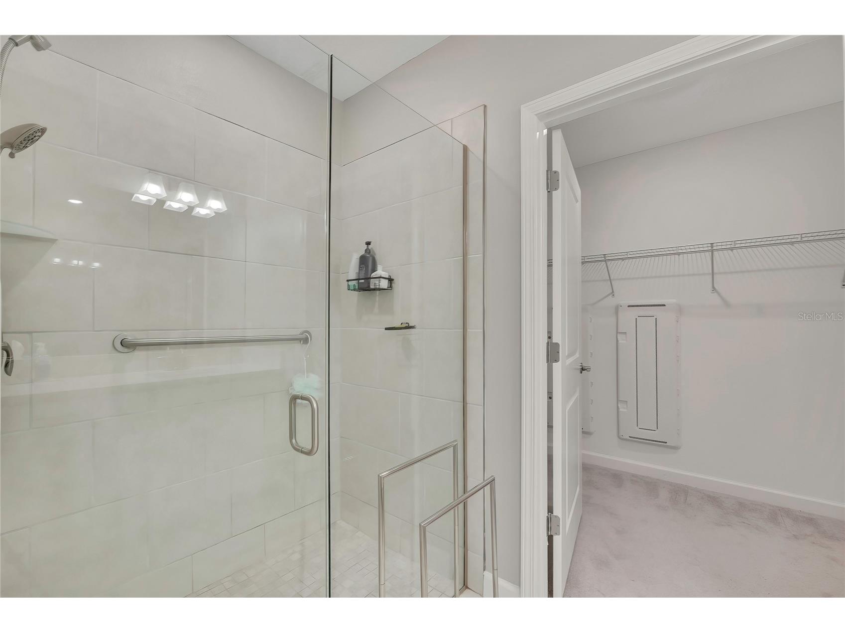 16663 Shell Bay Drive Land O Lakes FL 34638 W7885595 image17