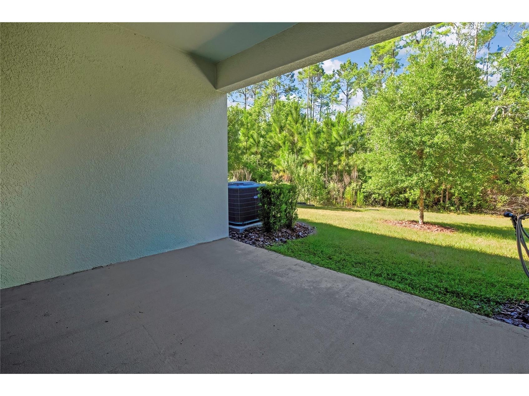 16663 Shell Bay Drive Land O Lakes FL 34638 W7885595 image31