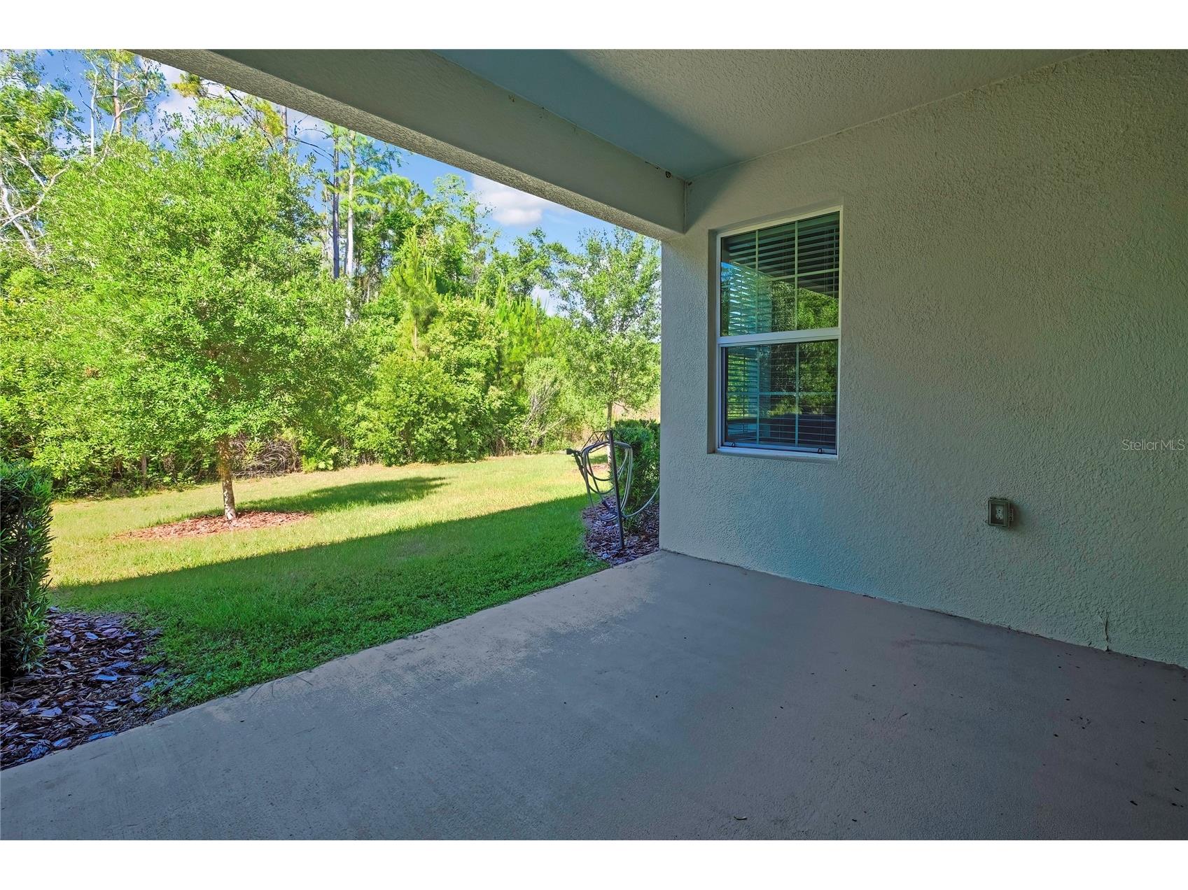 16663 Shell Bay Drive Land O Lakes FL 34638 W7885595 image32