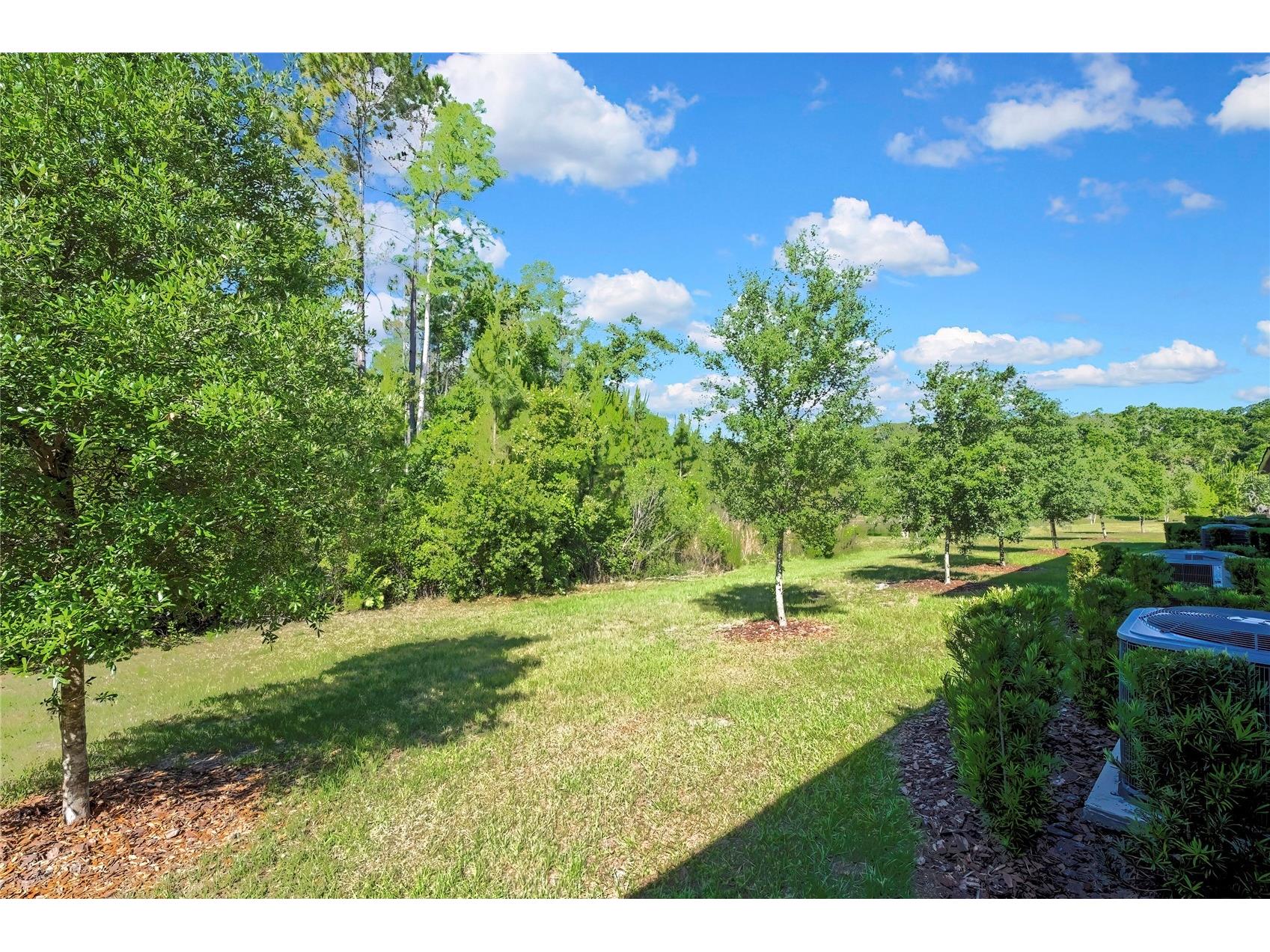 16663 Shell Bay Drive Land O Lakes FL 34638 W7885595 image33