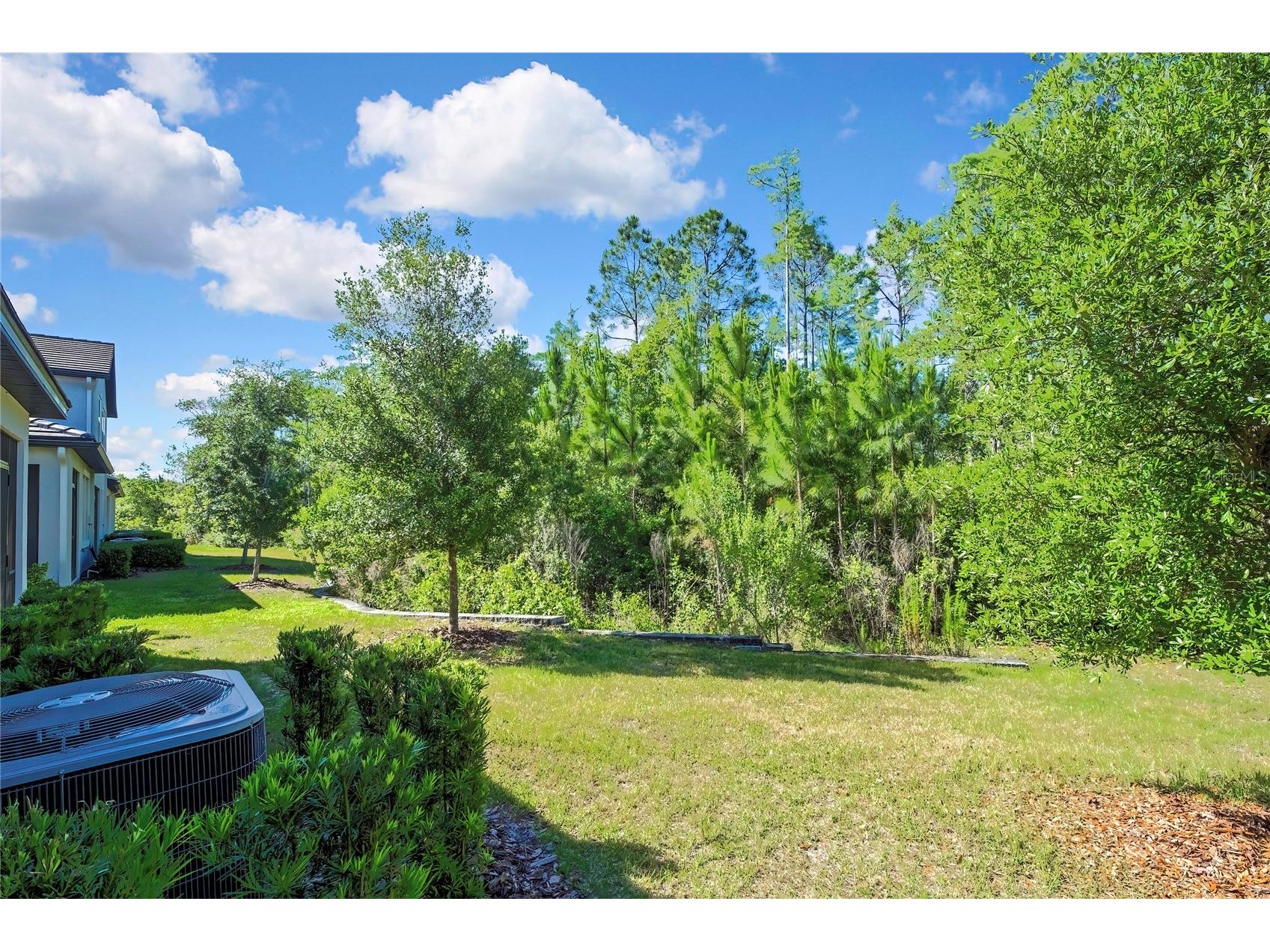 16663 Shell Bay Drive Land O Lakes FL 34638 W7885595 image35