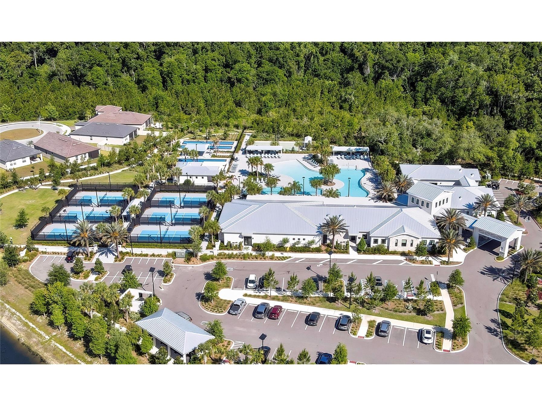 16663 Shell Bay Drive Land O Lakes FL 34638 W7885595 image39