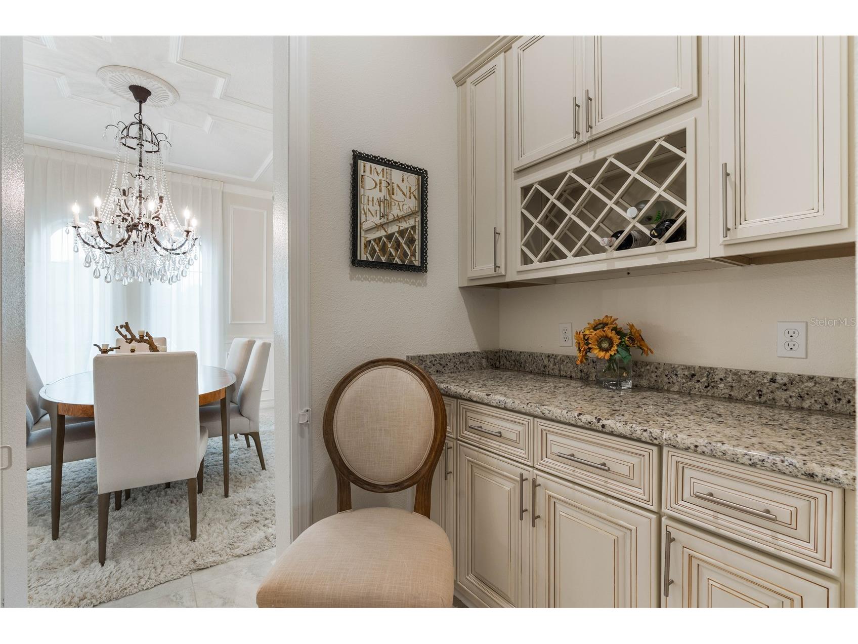16669 Varone Cove Court Winter Garden FL 34787 O6375749 image27