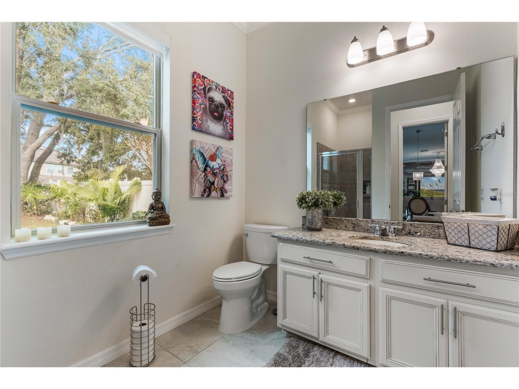 16669 Varone Cove Court Winter Garden FL 34787 O6375749 image36