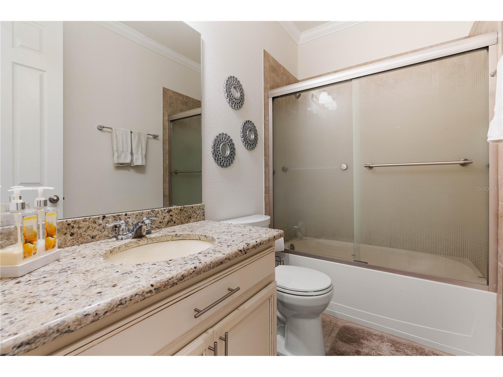 16669 Varone Cove Court Winter Garden FL 34787 O6375749 image50