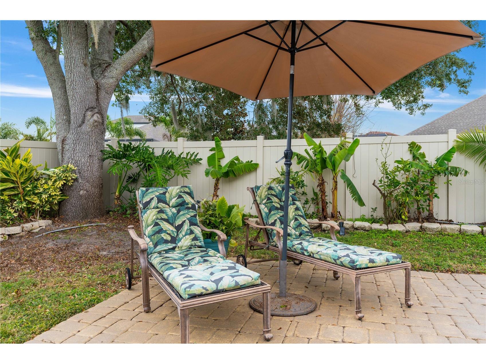 16669 Varone Cove Court Winter Garden FL 34787 O6375749 image66