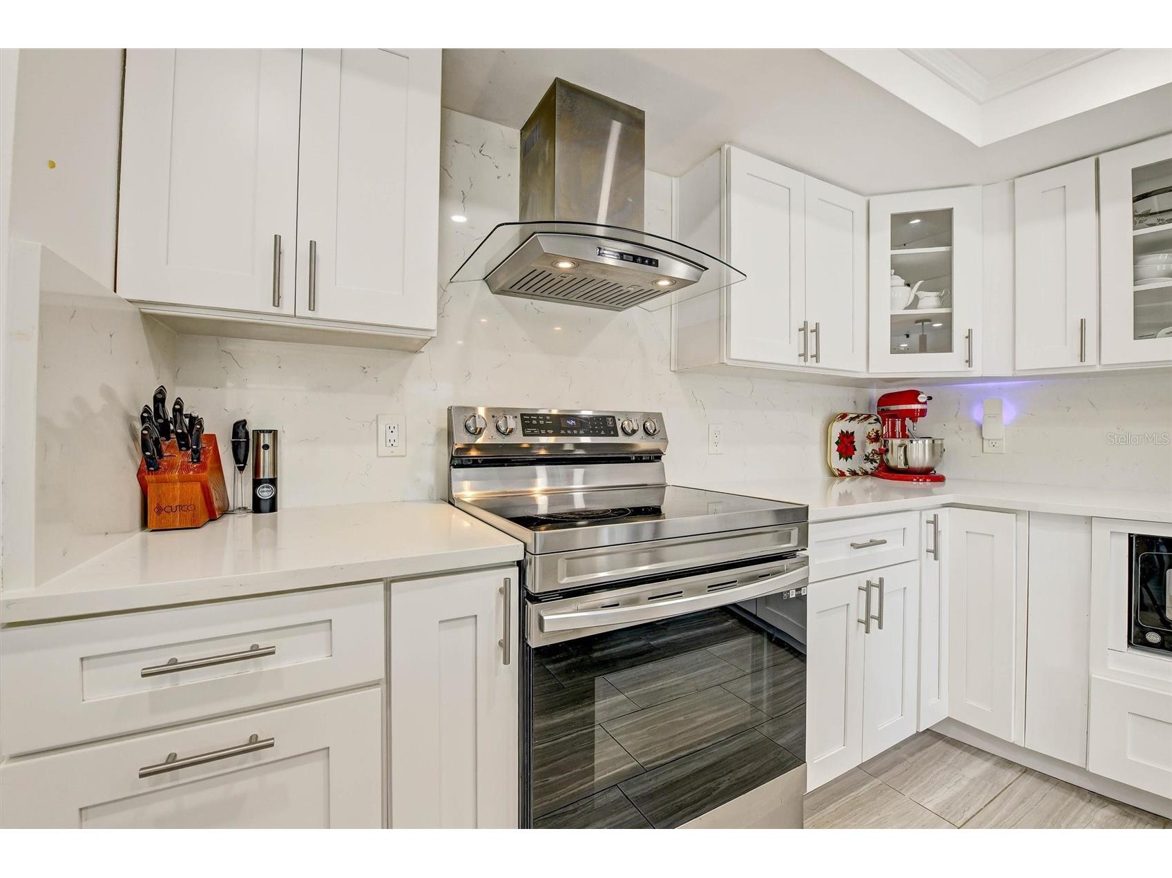 1667 Bravo Drive Clearwater FL 33764 - ALLEN'S CREEK TB8502217 image15