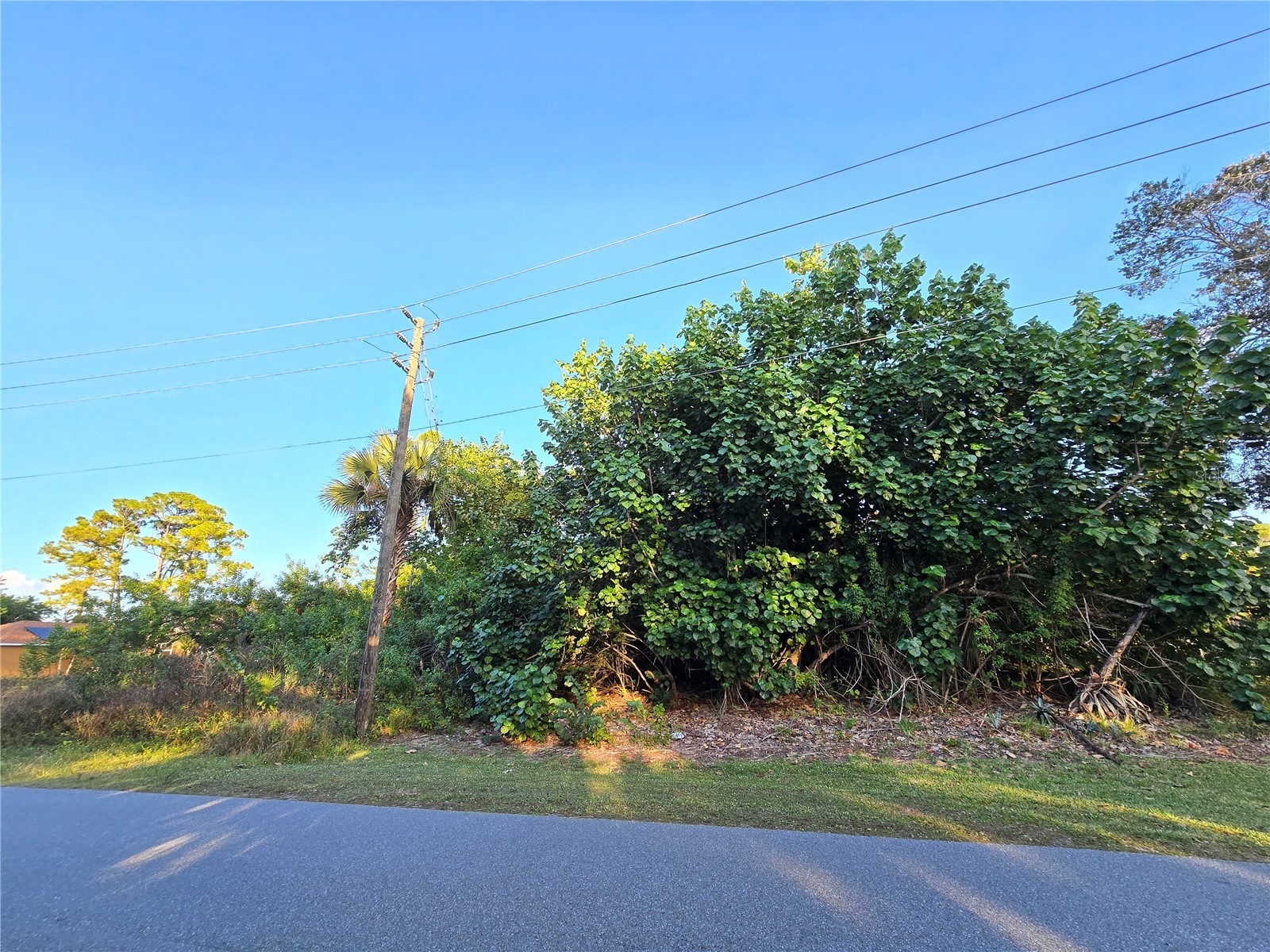 1667 Red Bud Circle NW Palm Bay FL 32907 O6389798 image11