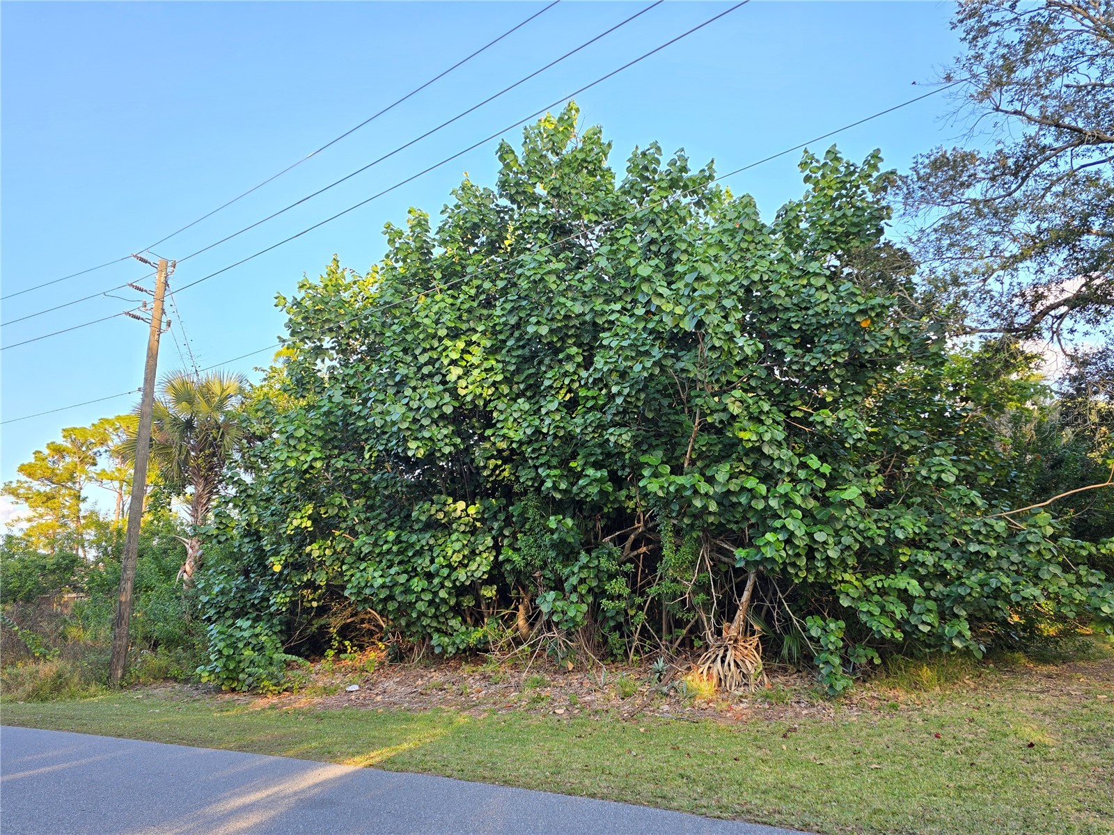 1667 Red Bud Circle NW Palm Bay FL 32907 O6389798 image12