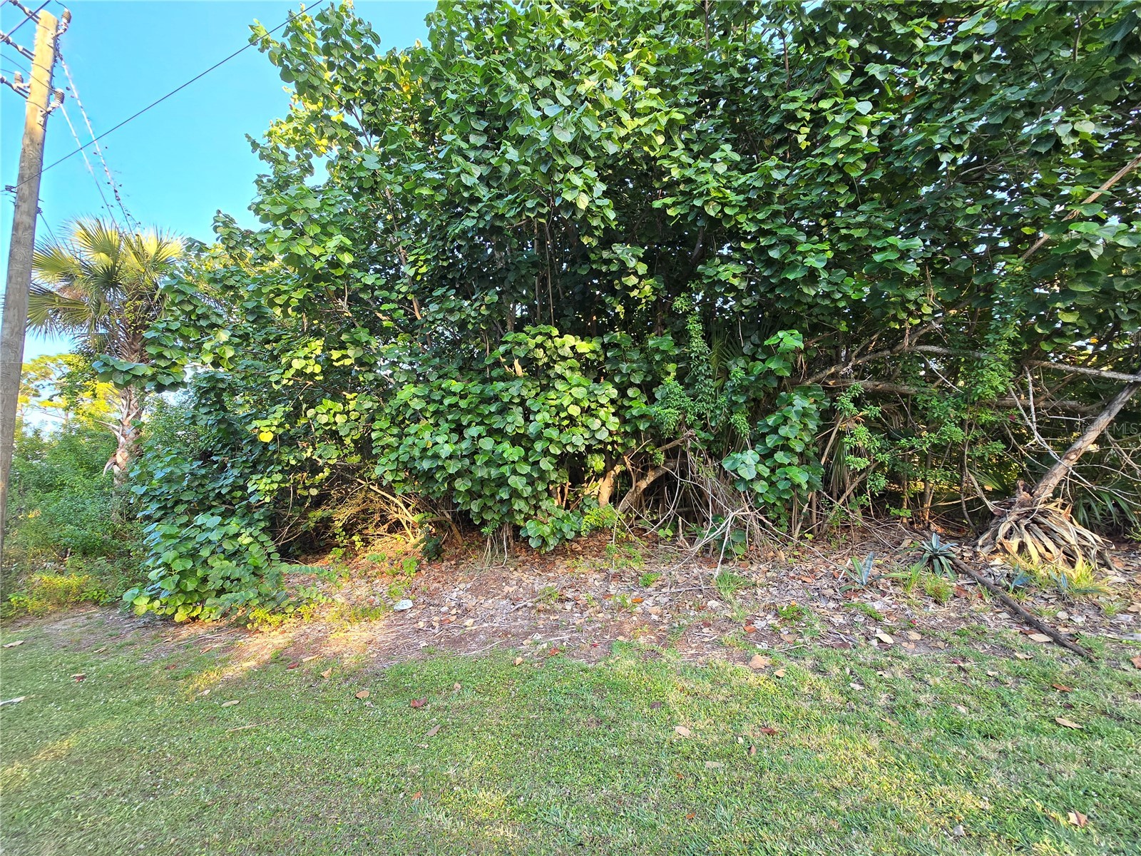 1667 Red Bud Circle NW Palm Bay FL 32907 O6389798 image13
